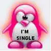 im single penguin