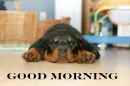 good morning