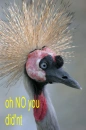 no you didnt