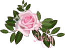 Shirley