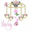 Shirley