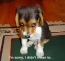 sorry