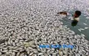 fishy