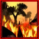 Wildfire