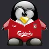 soccer penguin