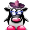crazy penguin