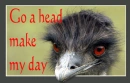 make my day