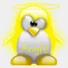 angie penguin