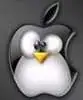 apple penguin