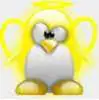 yellow fairy penguin