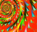 Spin Color 