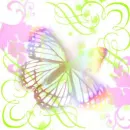 Butterfly Fancy