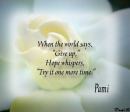 Pami