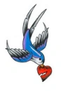 broken hearted bird
