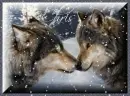 two wolves