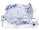 Daisy Cat Tag - Always Mel