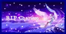 angel watching over us
