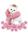 Kitty Of Hope