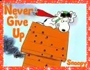 Snoopy's Shot-Up Dog House- Never Give Up Snoopy!