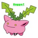 Hoppo