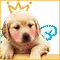 cute