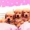 cute