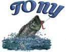 TONY-hookedmoofish