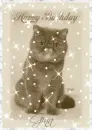 Happy Birthday Cat (with sparkles)- Gina
