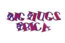 ERICA-bigmooswing