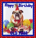 Happy Birthday English Bulldog- William