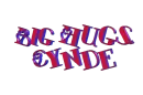 CYNDE- bigmooswing2