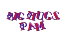 PAM -bigmooswing