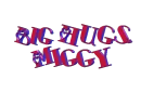 MIGGY -bigmooswing