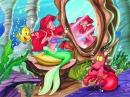 under the sea