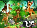 in the forest