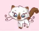 Cute Cat