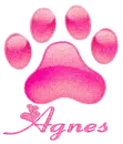 Pawprint