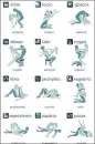 zodiac