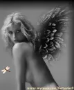 Angel w/dragonfly