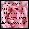 12 rosess