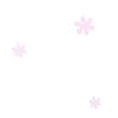 pink flowers
