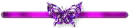 purple butterfly