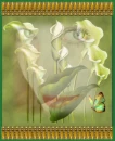 Face in Flowers