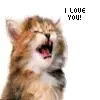 i love you