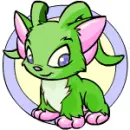 Neopet