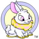 Neopet