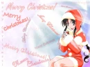 Merry Christmas!!!!Happy Holidays!!