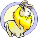 Neopets