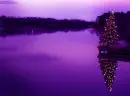 Christmas Tree by Lake