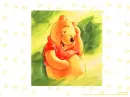 winnie the pooh